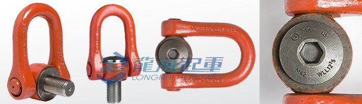 盧森堡DSS型旋轉吊環