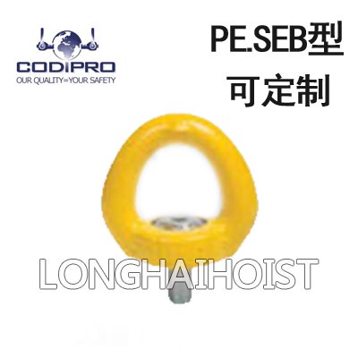 PE.SEB型盧森堡螺栓旋轉吊環