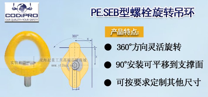 PE.SEB型盧森堡螺栓旋轉吊環實物圖