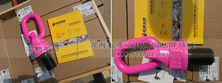 VWBG型RUD吊環圖片