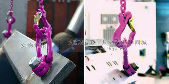 ICE-LBG-SR型螺栓型吊環使用案例