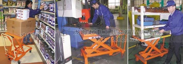 進口移動升降平臺車案例圖