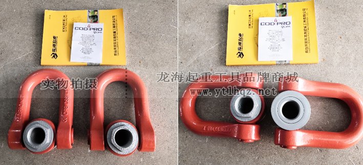 盧森堡FE.DSS雙旋轉吊環使實物圖