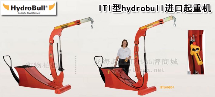 ITI型hydrobull進口起重機