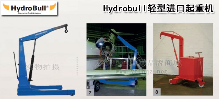 Hydrobull輕型進口起重機