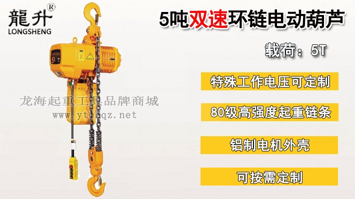 5噸雙速環鏈電動葫蘆圖片