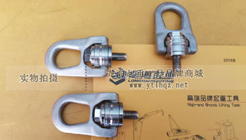 SS.DSR型不銹鋼旋轉吊環實物圖一