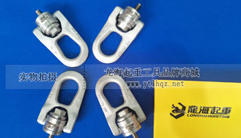 SS.DSR型不銹鋼旋轉吊環實物圖二