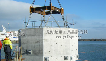 SS.DSR型不銹鋼旋轉吊環使用案例圖一