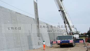 SS.DSR型不銹鋼旋轉吊環使用案例圖二